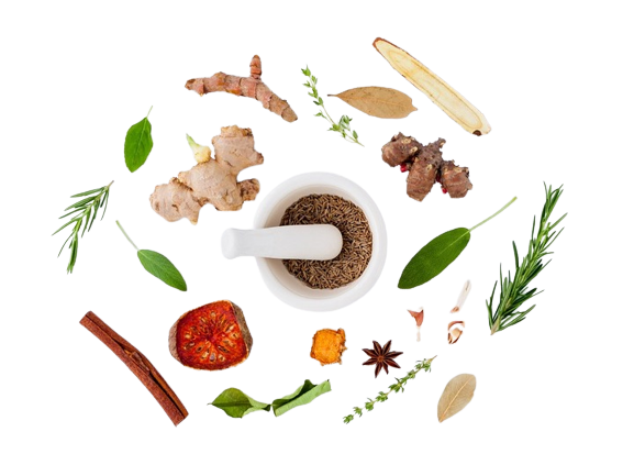 herbs-906140_960_720__1_-removebg-preview selezione ingredienti naturali